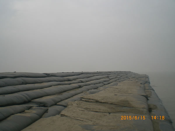 共同進步，共同成長