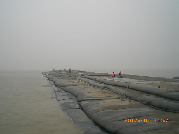 共同進步，共同成長